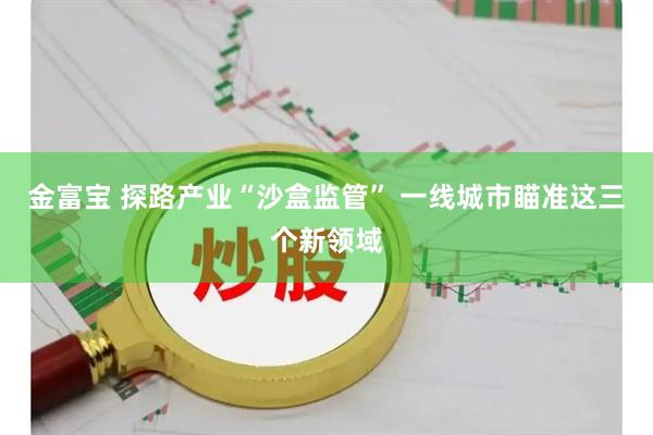 金富宝 探路产业“沙盒监管” 一线城市瞄准这三个新领域